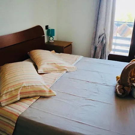 Paradise Apartment